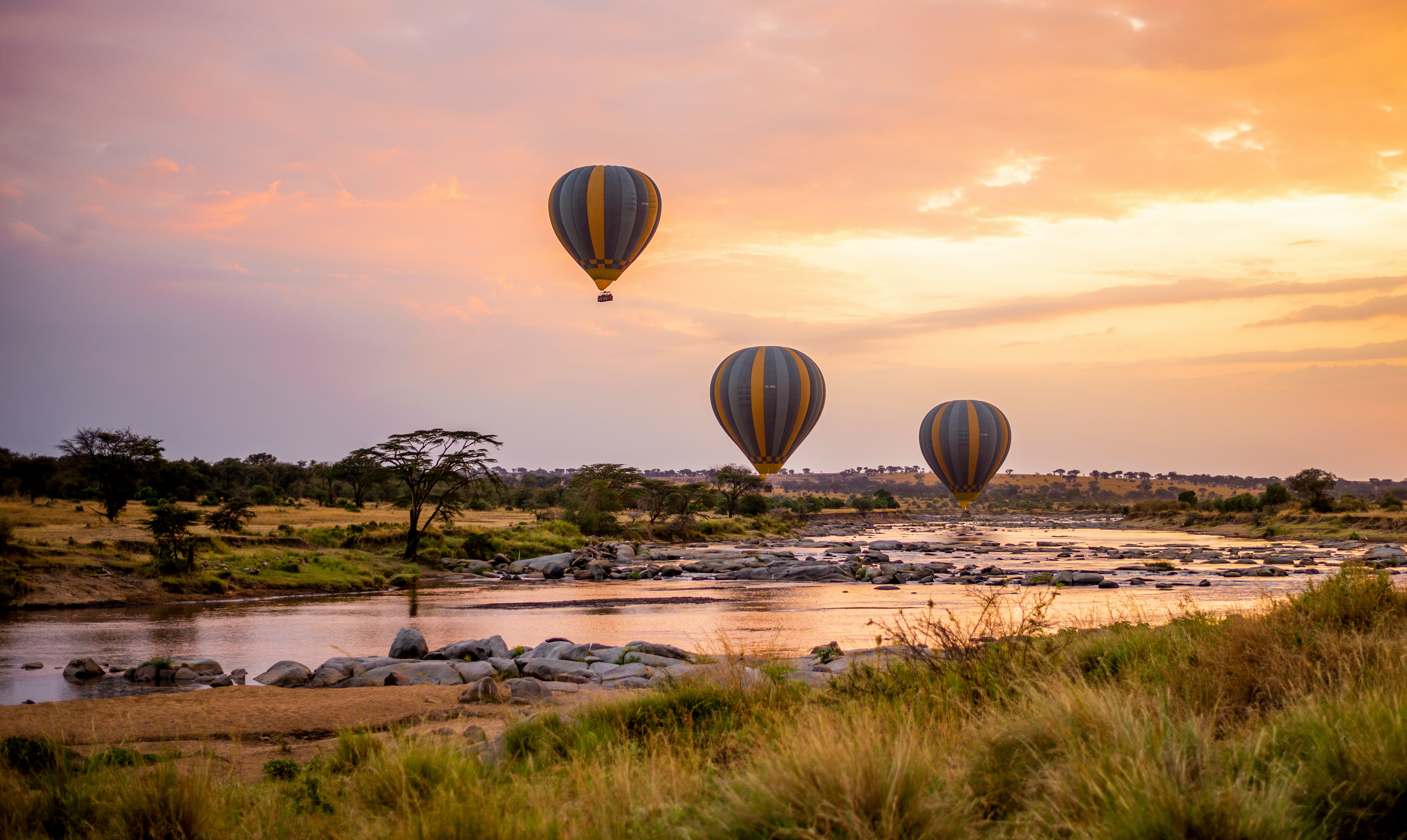 Elephant herds under baobab trees in Tarangire National Park